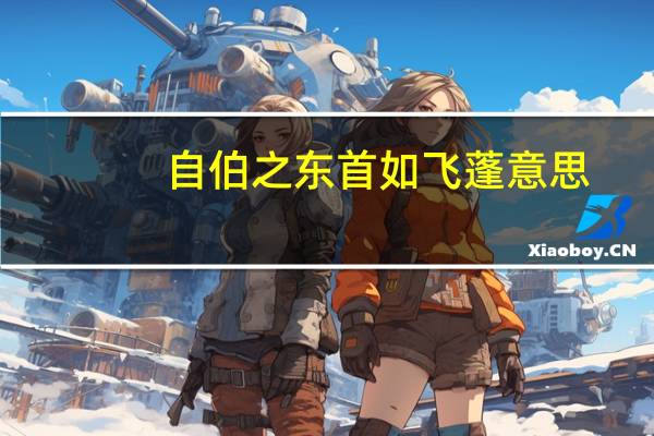 自伯之东首如飞蓬意思