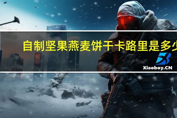 自制坚果燕麦饼干卡路里是多少