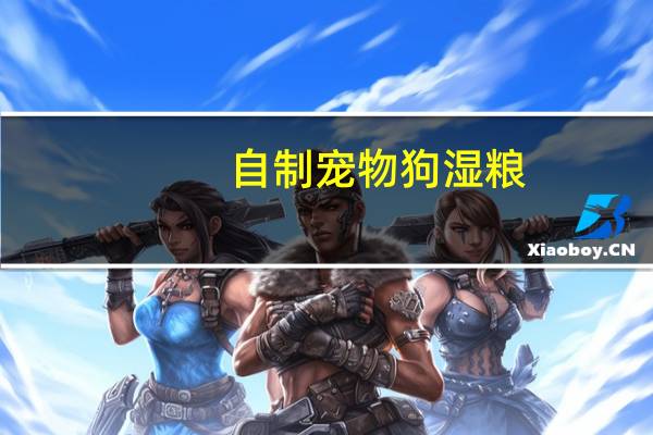 自制宠物狗湿粮
