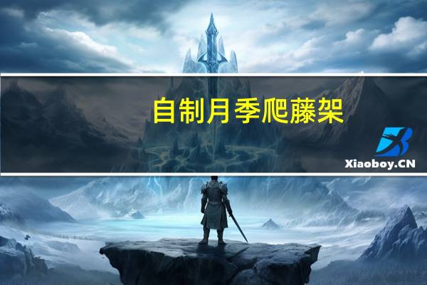 自制月季爬藤架