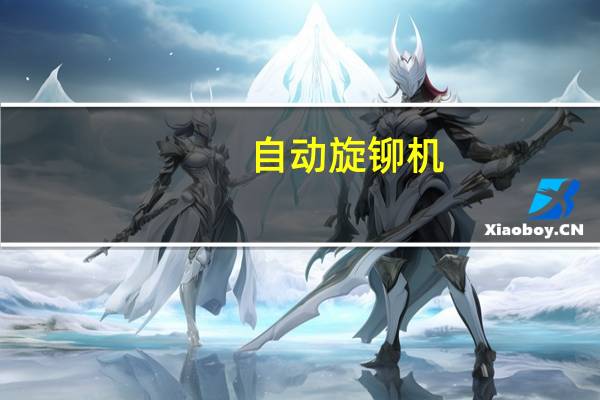 自动旋铆机（自动旋铆机）