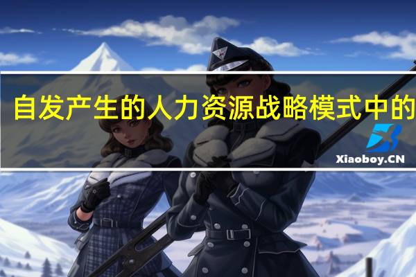 自发产生的人力资源战略模式中的缺点