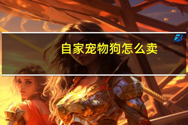 自家宠物狗怎么卖