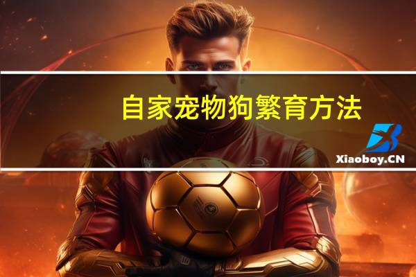 自家宠物狗繁育方法