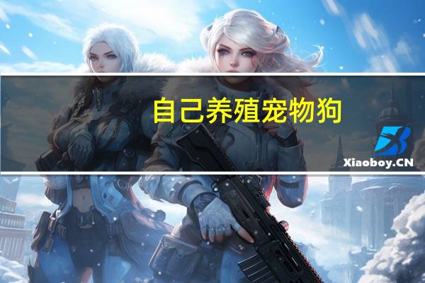 自己养殖宠物狗