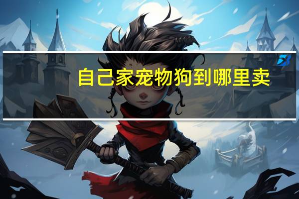 自己家宠物狗到哪里卖