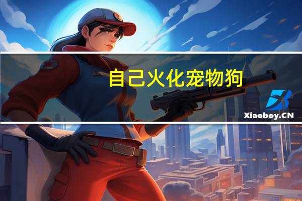 自己火化宠物狗