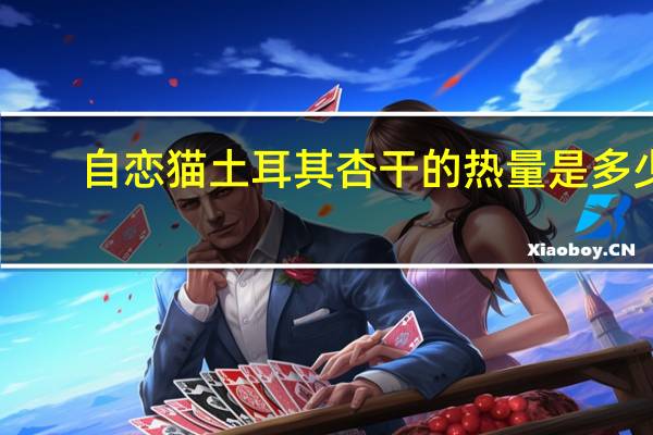 自恋猫 土耳其杏干的热量是多少