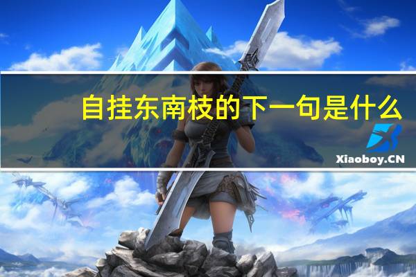 自挂东南枝的下一句是什么