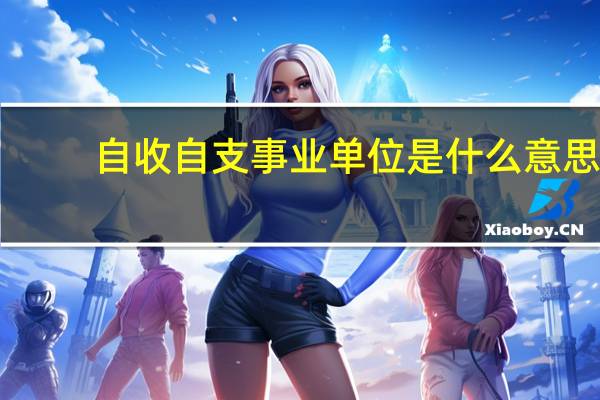 自收自支事业单位是什么意思