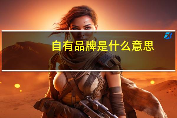 自有品牌是什么意思