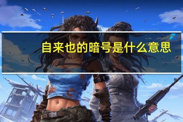 自来也的暗号是什么意思(自来也的暗号)