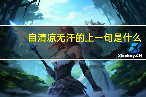 自清凉无汗的上一句是什么