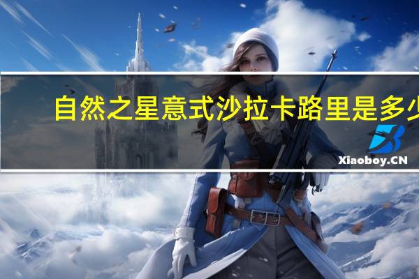 自然之星 意式沙拉卡路里是多少