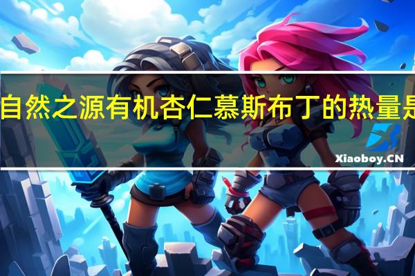 自然之源 有机杏仁慕斯布丁的热量是多少