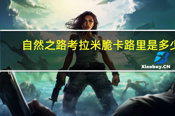 自然之路 考拉米脆卡路里是多少