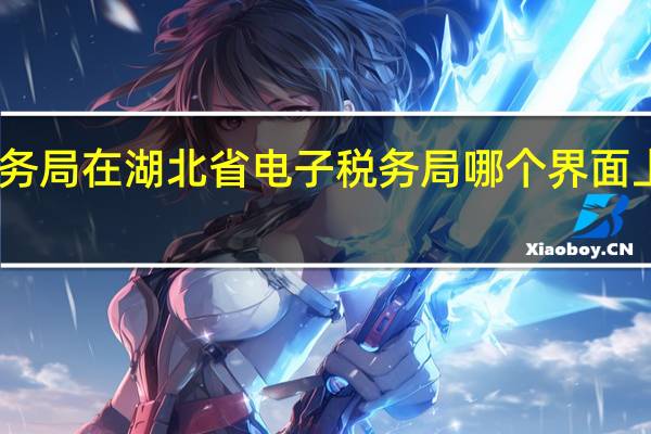 自然人电子税务局在湖北省电子税务局哪个界面上 湖北省国家税务局