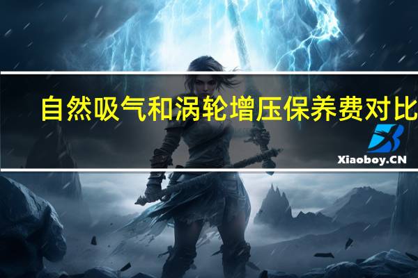 自然吸气和涡轮增压保养费对比表（自然吸气和涡轮增压）