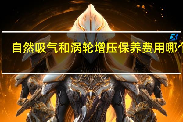 自然吸气和涡轮增压保养费用哪个高（自然吸气和涡轮增压保养费用）
