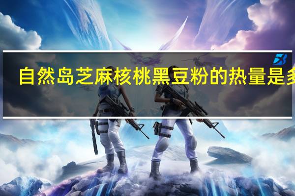 自然岛 芝麻核桃黑豆粉的热量是多少