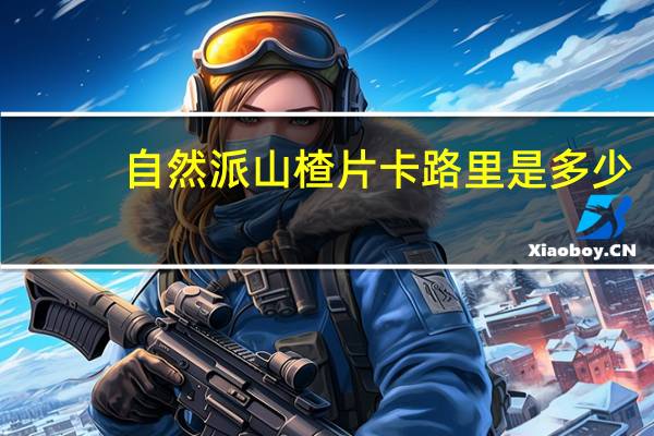 自然派 山楂片卡路里是多少