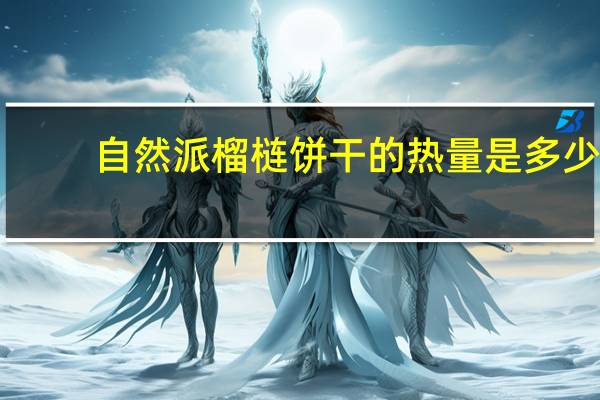 自然派 榴梿饼干的热量是多少