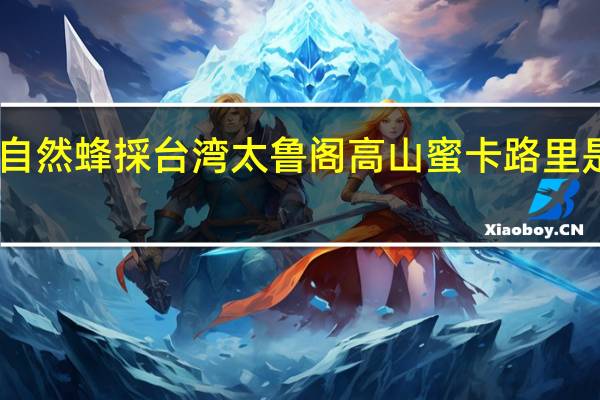 自然蜂採 台湾太鲁阁高山蜜卡路里是多少