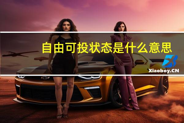 自由可投状态是什么意思