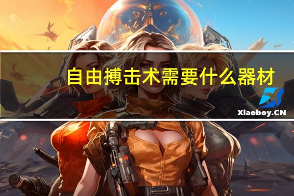 自由搏击术需要什么器材