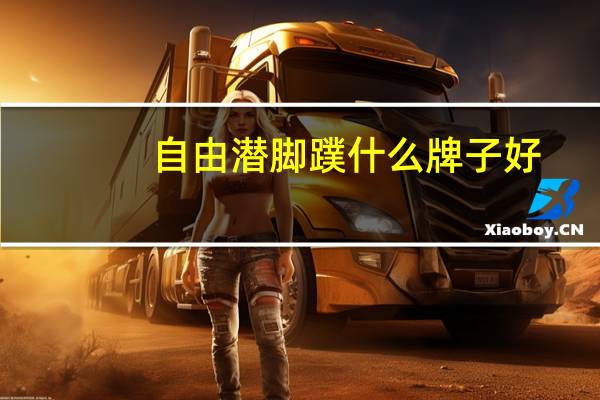 自由潜脚蹼什么牌子好
