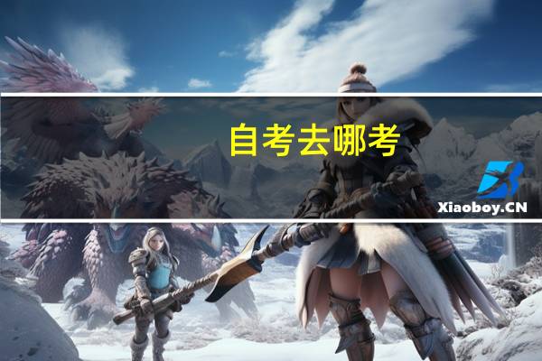 自考去哪考