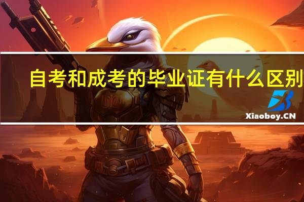 自考和成考的毕业证有什么区别吗