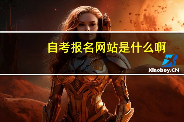 自考报名网站是什么啊