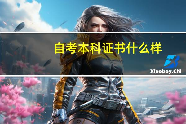 自考本科证书什么样