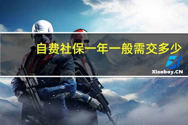 自费社保一年一般需交多少