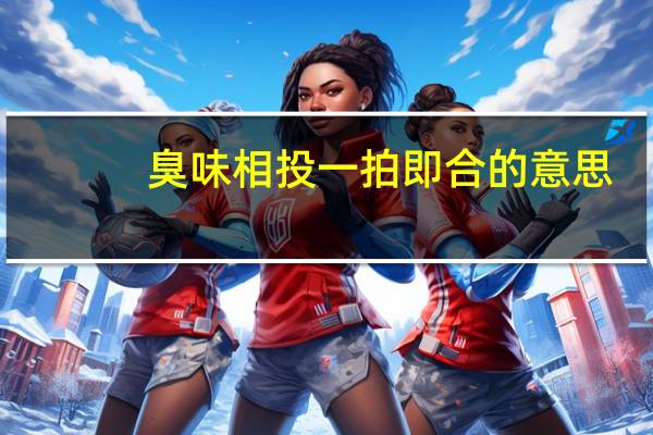 臭味相投一拍即合的意思(一拍即合的意思)