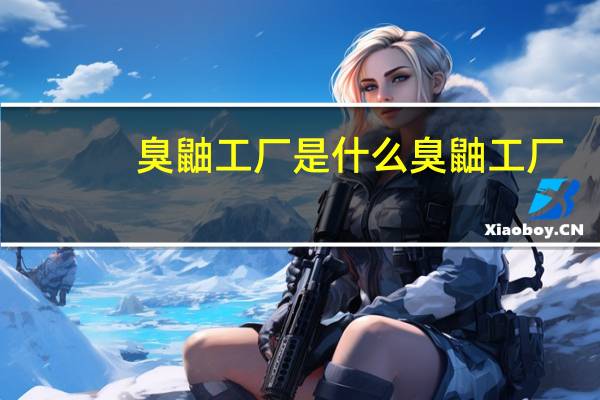 臭鼬工厂是什么 臭鼬工厂