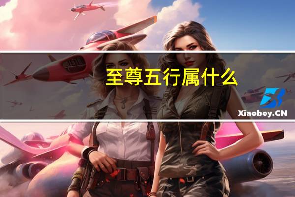 至尊五行属什么（五行至尊决简介）