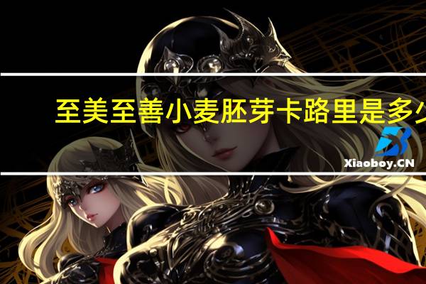 至美至善 小麦胚芽卡路里是多少