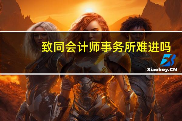 致同会计师事务所难进吗