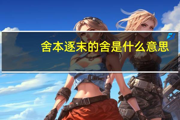 舍本逐末的舍是什么意思