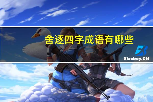 舍逐四字成语有哪些