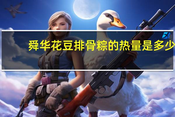 舜华 花豆排骨粽的热量是多少