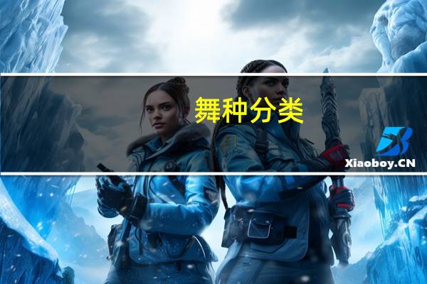 舞种分类