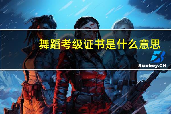 舞蹈考级证书是什么意思