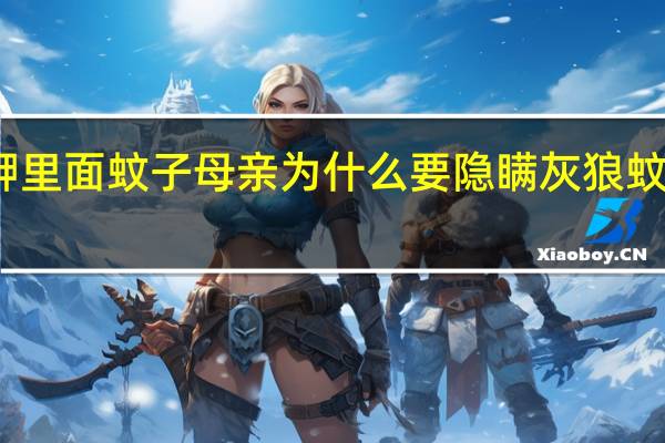 艋舺里面蚊子母亲为什么要隐瞒灰狼蚊子的身世