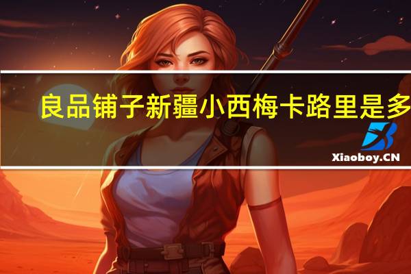良品铺子 新疆小西梅卡路里是多少