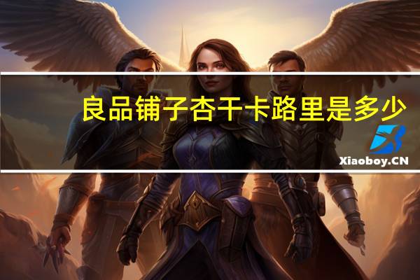 良品铺子 杏干卡路里是多少