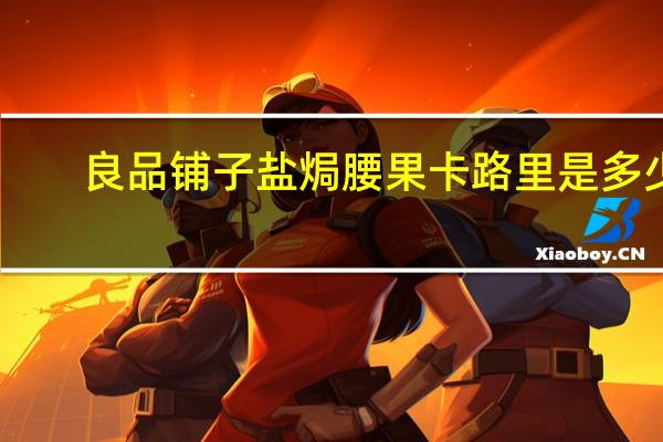 良品铺子 盐焗腰果卡路里是多少