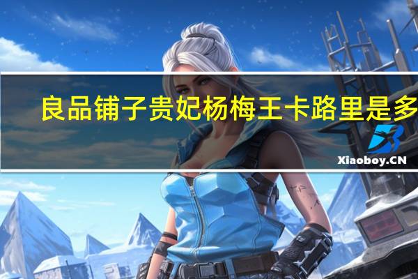 良品铺子 贵妃杨梅王卡路里是多少